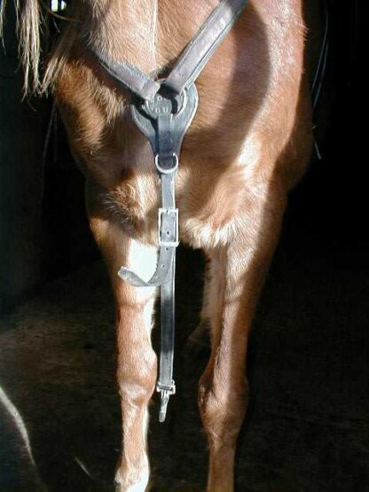 Western Breastcollar
