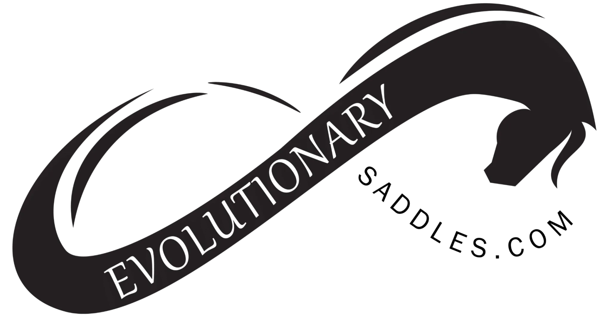 Evolutionary Saddles