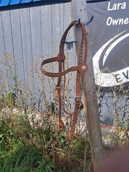 Handcrafted Brown Bridle with Silver Spots and Berry Conchos by a Master Leatherworker - Image 6