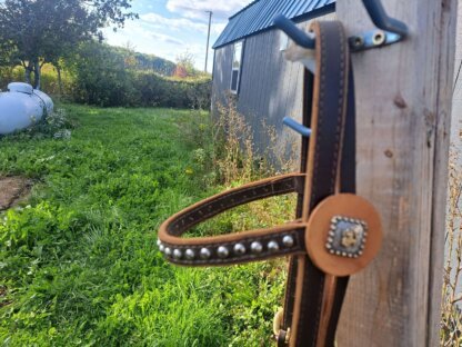 Handcrafted Dark Brown Bridle with Bronc Conchos by a Master Leatherworker - Image 4