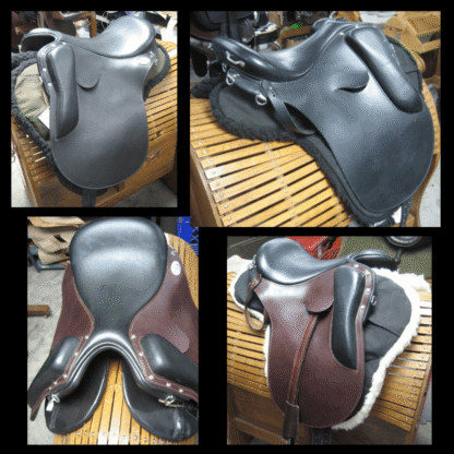 Create Your Saddle Vision! - Image 10