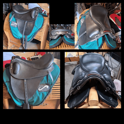 Create Your Saddle Vision! - Image 12