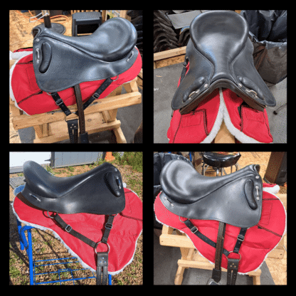 Create Your Saddle Vision! - Image 13