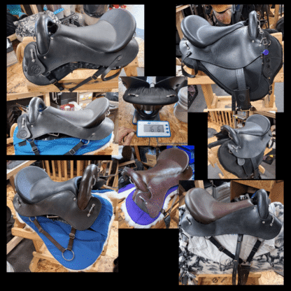 Create Your Saddle Vision! - Image 15