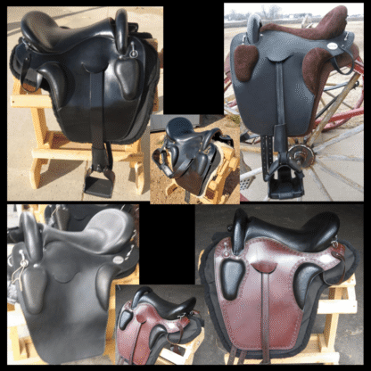 Create Your Saddle Vision! - Image 16