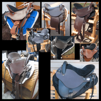 Create Your Saddle Vision! - Image 8