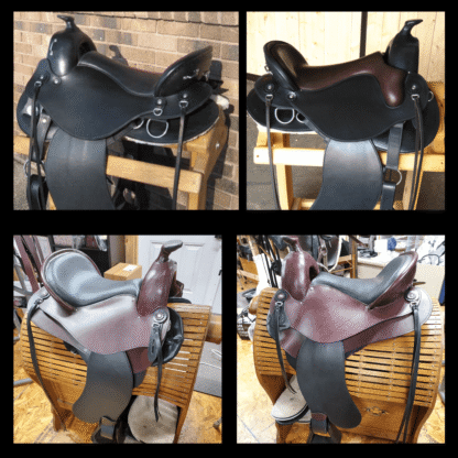 Create Your Saddle Vision! - Image 5
