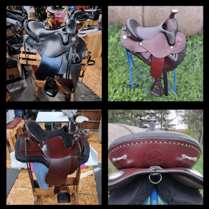 Create Your Saddle Vision! - Image 6