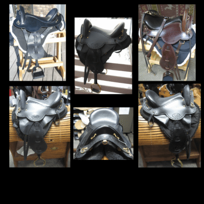 Create Your Saddle Vision! - Image 3