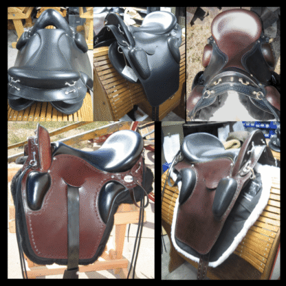 Create Your Saddle Vision! - Image 2