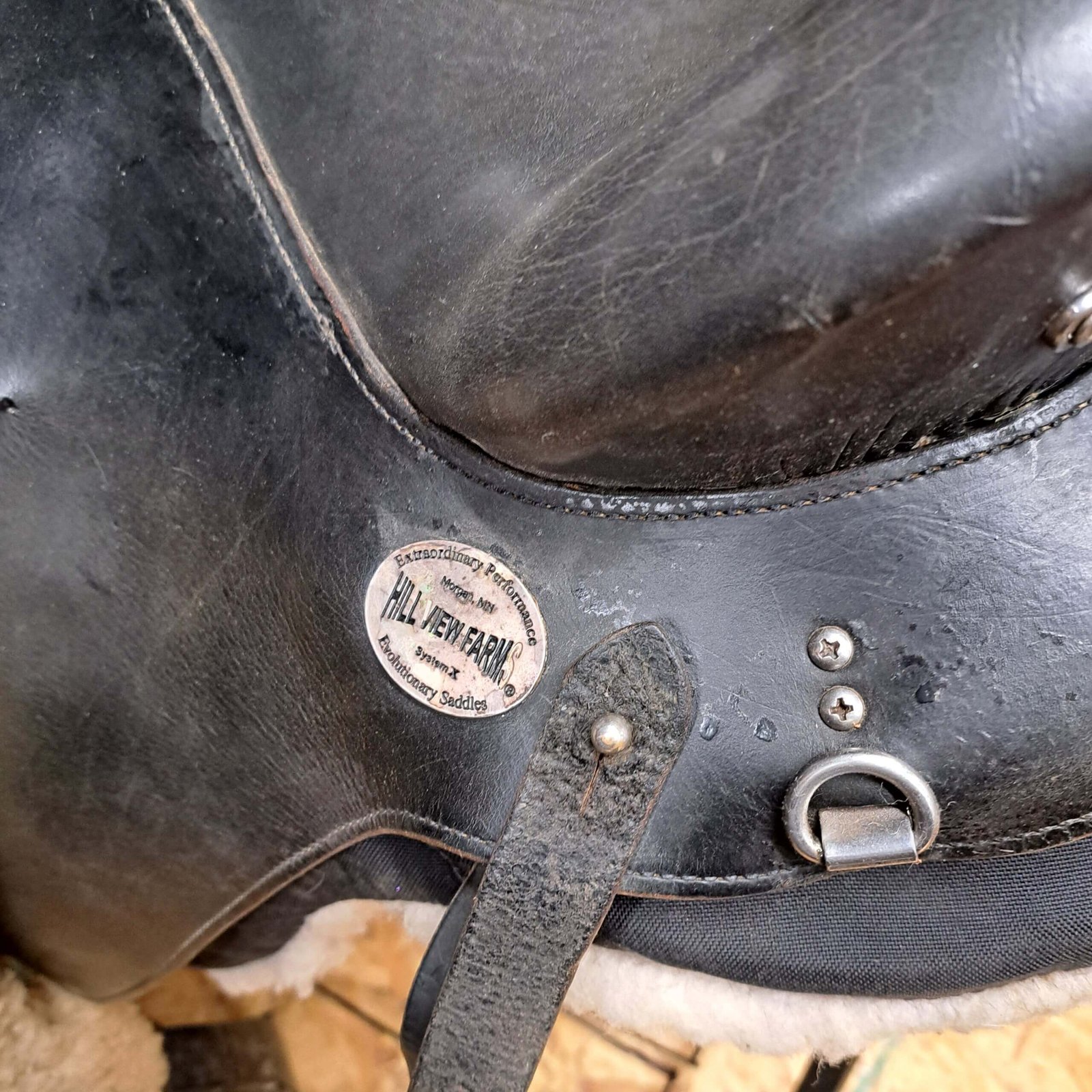 The Freedom - Image 4