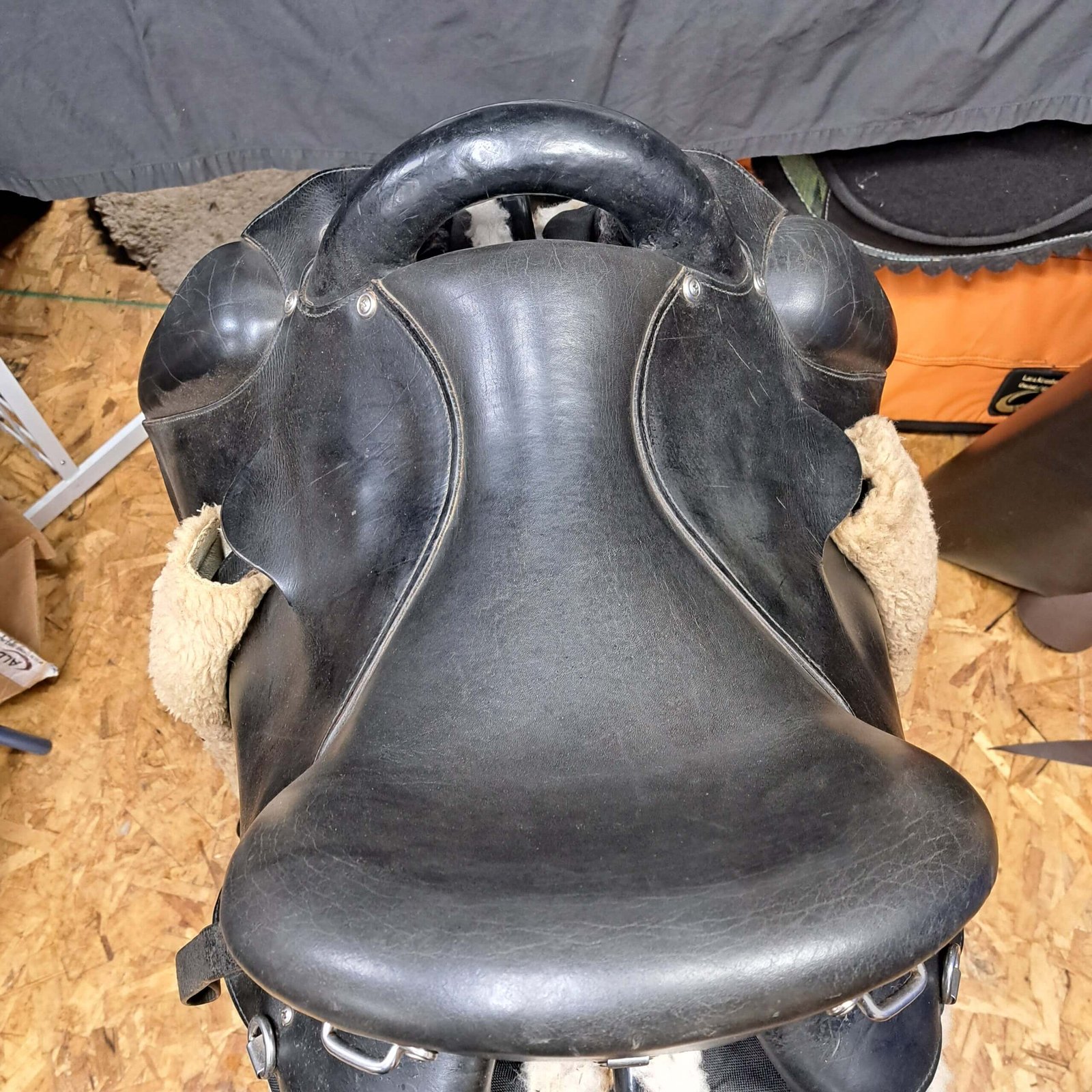 The Freedom - Image 3